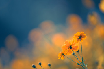 关于扶贫工作总结