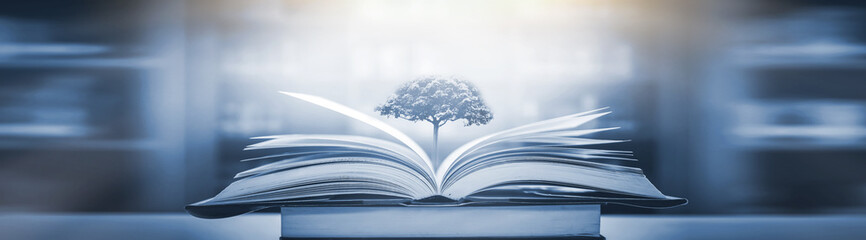 夏凉节的活动营销案