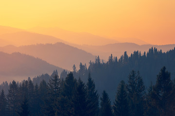 14岁女生小常识