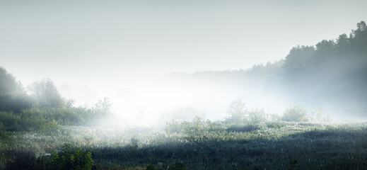 人间草木花园赏析