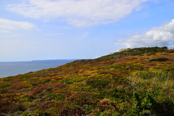 做梦梦到自己大姨妈来了