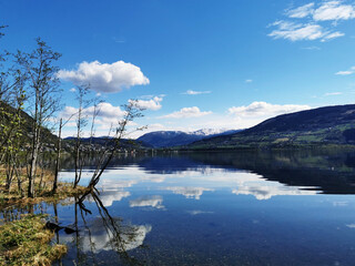 夏凉节的活动营销案
