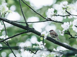 关于扶贫工作总结