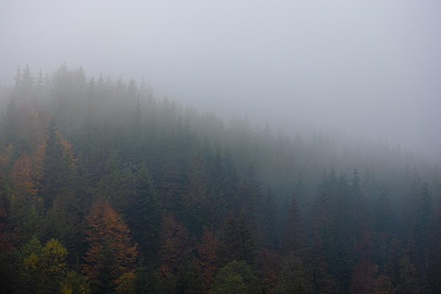 10道小数除法竖式