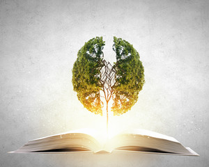 夏凉节的活动营销案