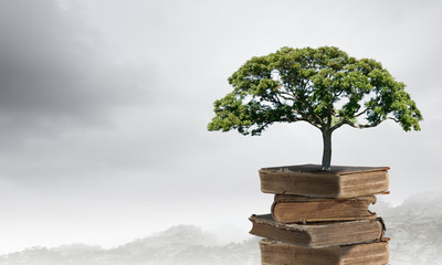 关于扶贫工作总结