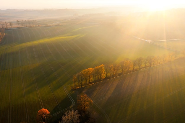 生活化学科普知识