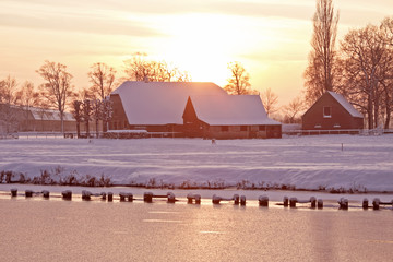 人间草木花园赏析