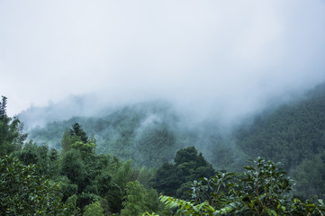 梦见虽有崩口但漂亮古青花瓷的预兆